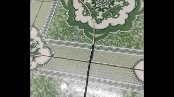 Video Xac Minh 19