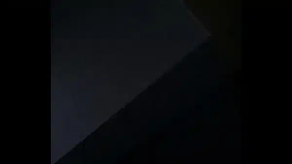 Xvideos 233