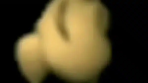 Xvideos 256